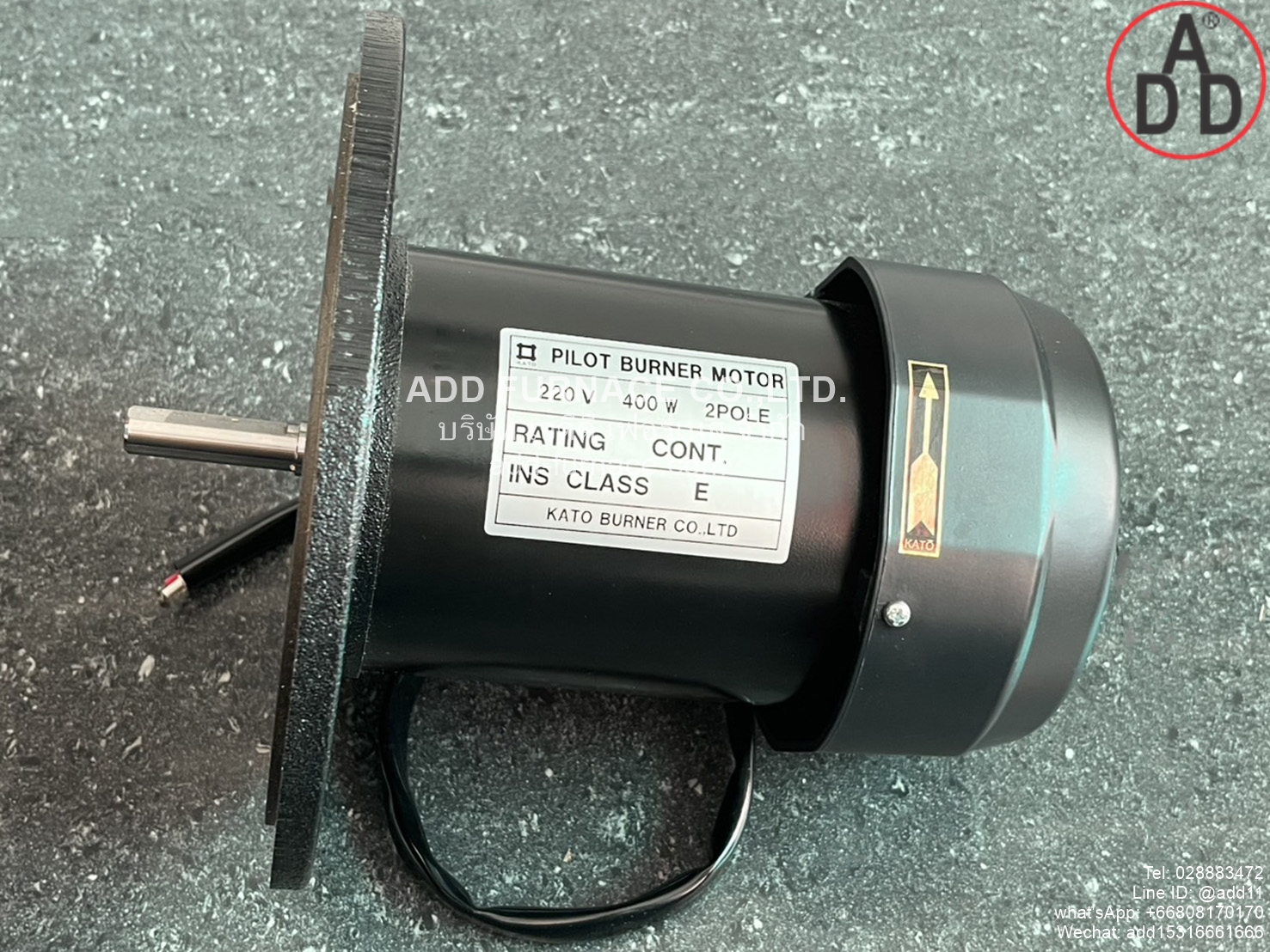 Pilot Burner Motor 220V 200W 2Pole (9)